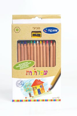 עפרונות צבעוניים עבים בצורת משושה כולל מחדד