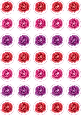 מדבקות שושנים- קוטר 18.5 ממ